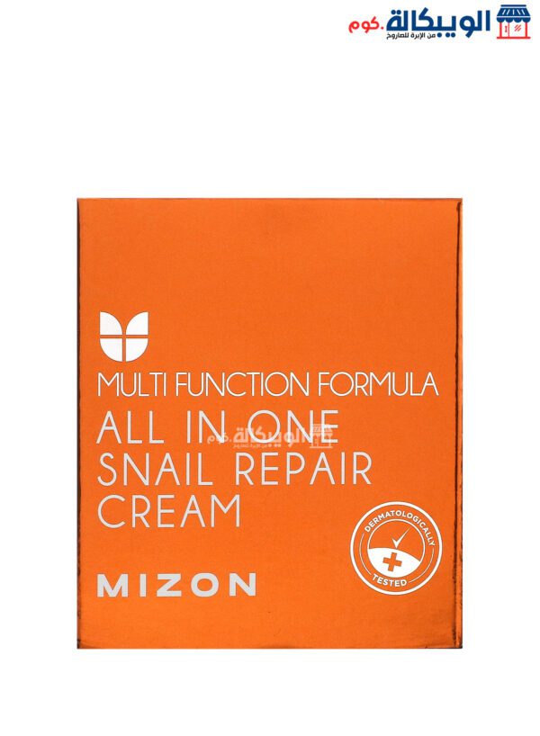Mizon Snail Repair Cream For Treat Skin 2.53 Fl Oz (75 Ml) 